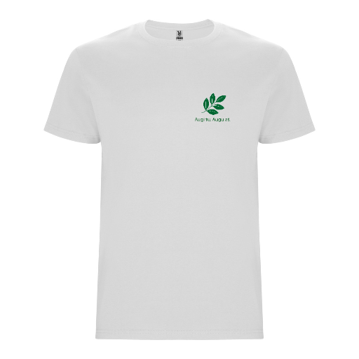 Stafford T-Shirt | DIY
