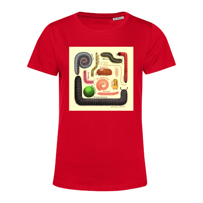 #Inspire E150/Women_° T-Shirt | DIY