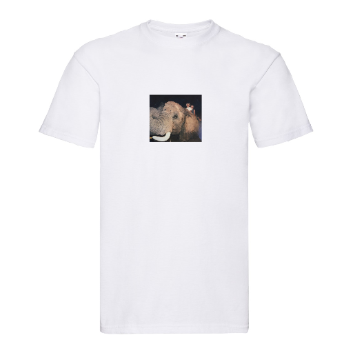 Super Premium T | DIY