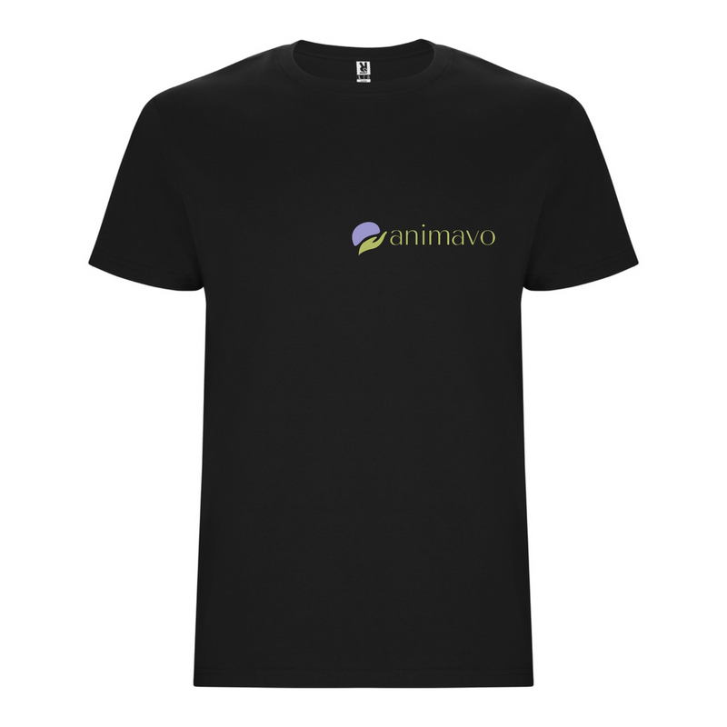 Stafford T-Shirt | DIY