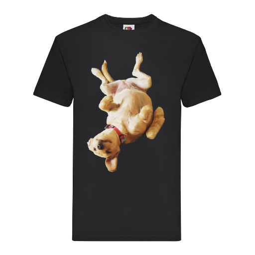 Super Premium T | 24h EXPRESS