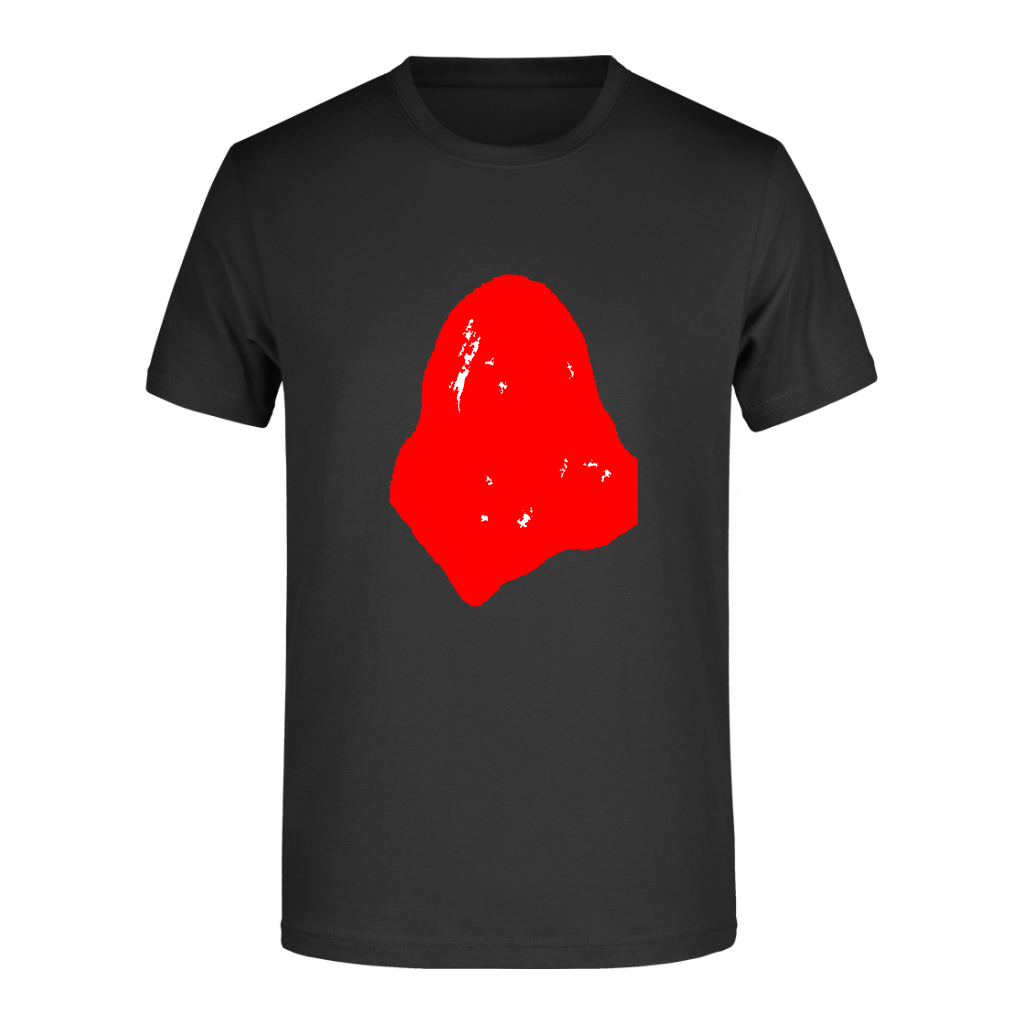 T-Shirt #E190 | 24H EXPRESS