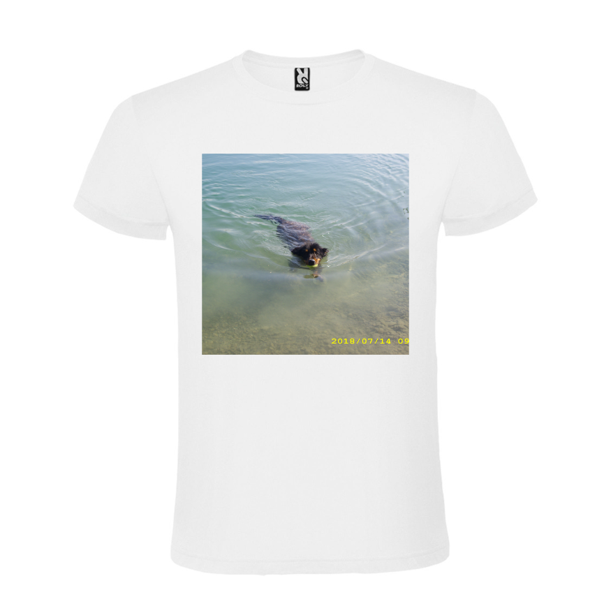 Aktionsshirt - Atomic 150 | DIY